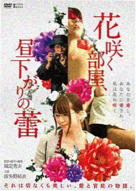 村花进城记 短剧封面